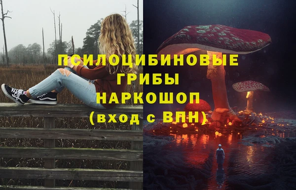 амфетамин Алексин