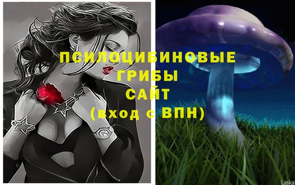 амфетамин Алексин